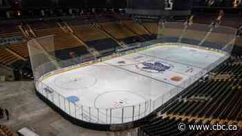 NHL's Canadian hubs offer little economic benefit, but morale boost is valuable: experts