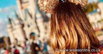 Disney World reopens despite surge in cases of coronavirus