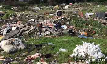 Rellenos ilegales afectan el ecosistema Humedal Boca Maule en Coronel - Canal 9 Bío Bío Televisión