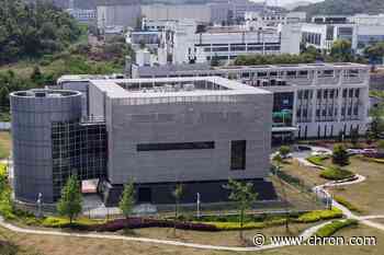 Covid-like virus was sent to Wuhan in 2013, Sunday Times says