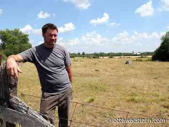 Rain a blessing for parched farms