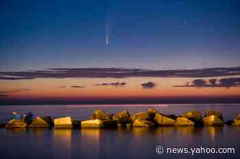 How to see Neowise before it disappears
