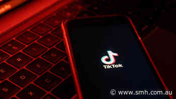 Government warns of social media manipulation as TikTok faces backlash