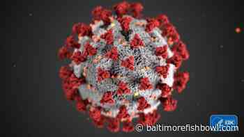 Five Baltimore ZIP codes have nearly half of city's confirmed COVID-19 cases - Baltimore Fishbowl