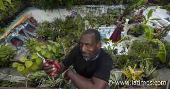 Gangsta Gardener Ron Finley swears by growing your own food - Los Angeles Times