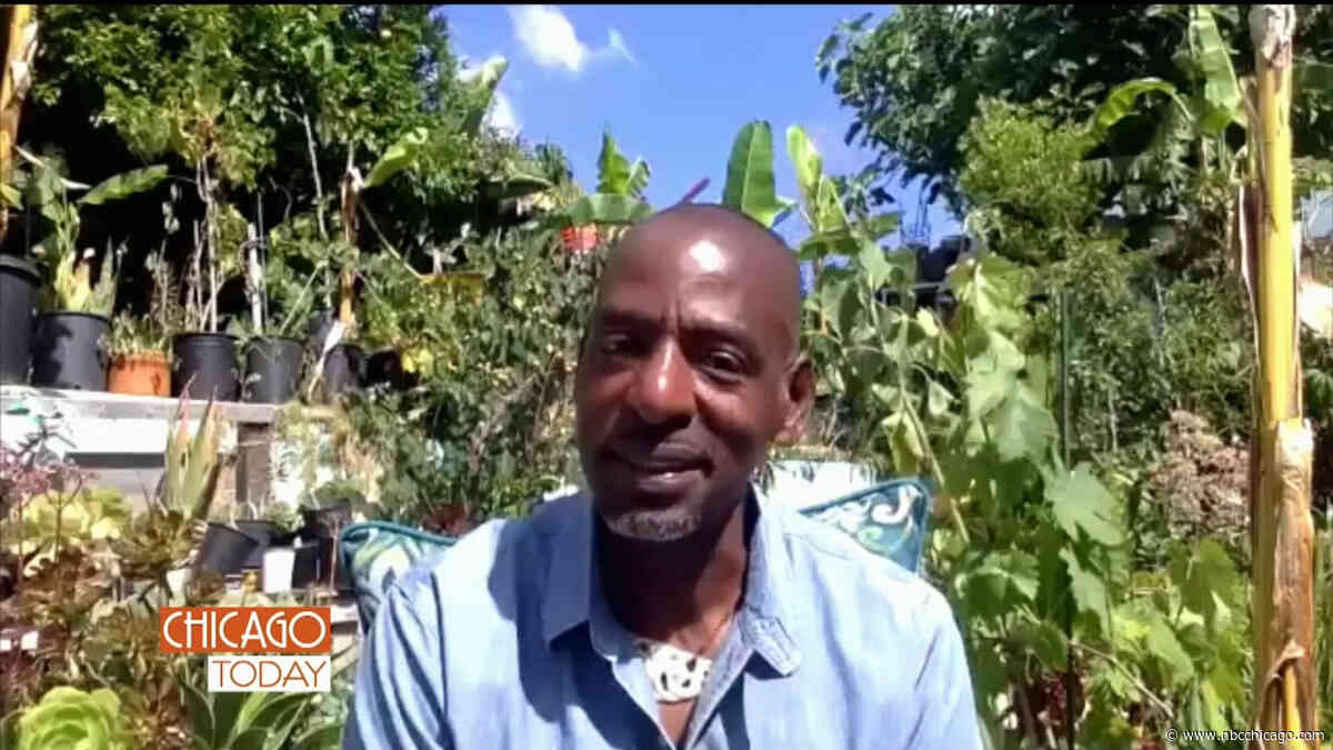 ‘Gangsta Gardener' Ron Finley on Gardening For Food, Culture and Community - NBC Chicago