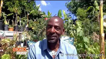 ‘Gangsta Gardener' Ron Finley on Gardening For Food, Culture and Community - NBC Chicago