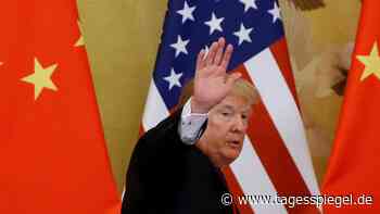 Trumps Strafzölle gegen China : Die Zeche zahlt der Konsument - Wirtschaft - Tagesspiegel