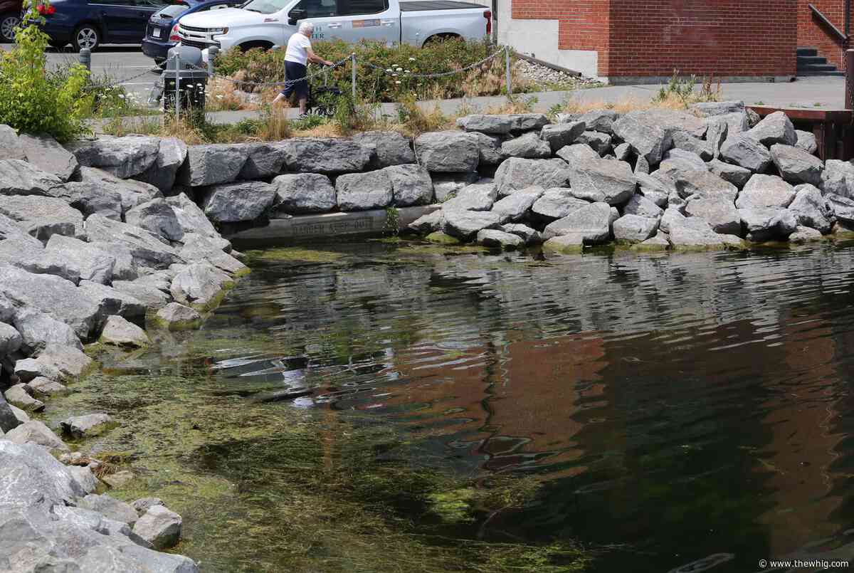 Rainfall leads to sewer overflow in downtown Kingston Saturday morning - The Kingston Whig-Standard