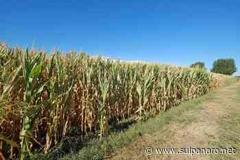 A Modena, dalla Regione 51 milioni di euro negli ultimi 8 mesi per reagire alla crisi - SulPanaro