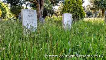 Anger at lack of care for service personnel graves in Bournemouth - Bournemouth Echo