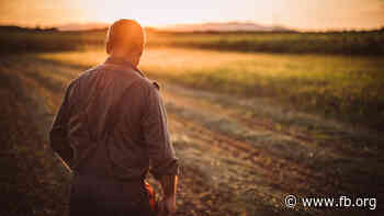 Farm Bureau Entrepreneur of the Year Will Take Home $50K in Startup Funds; Apply by July 31 - Farm Bureau News