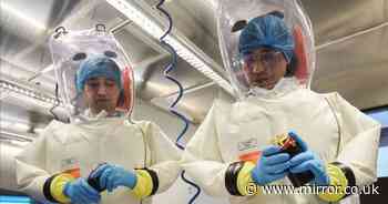 Scientists from Wuhan coronavirus laboratory have 'defected to the West'