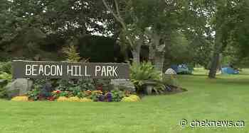 Disturbance calls up more than 80% in Beacon Hill Park: Victoria Police - CHEK