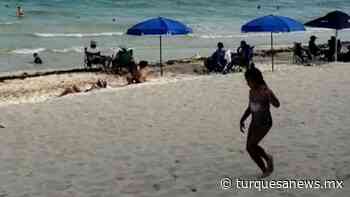 Reinician actividades turisteros de Playa Del Carmen - Turquesa News
