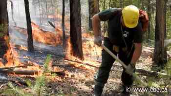 As permafrost melts under intense heat, Russia's Siberia burns — again