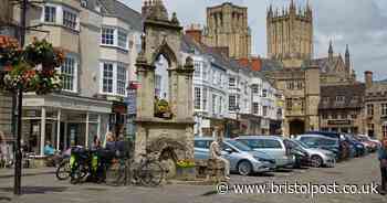 'Rich' and 'old' with 'feral offspring' - scathing online review slams Wells