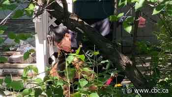 Saskatoon police pleas for patience in Evan Penner arrest case 'contradictory,' say critics