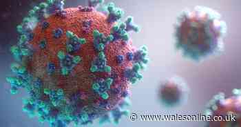 Coronavirus can stay in the air for an hour, says SAGE expert