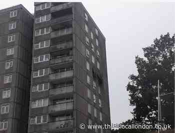 Dog killed in tower block fire in Felspar Close, Plumstead