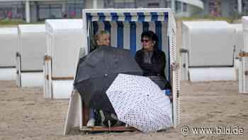 Fröstel-Sommer - Wie sehr schadet das Wetter unserer Wirtschaft? - BILD