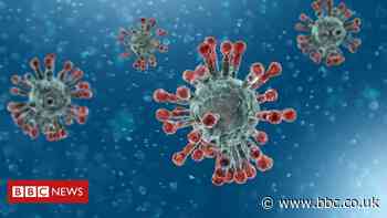 Coronavirus: Two more Covid-19-related deaths in Ireland