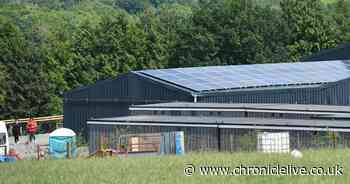 200 workers in lockdown after 73 test positive for coronavirus at farm