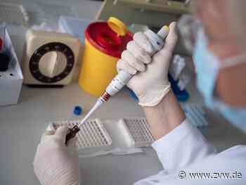 Sinkende Antikörperzahl dämpft Hoffnung auf Impfstoff - Homepage - Zeitungsverlag Waiblingen