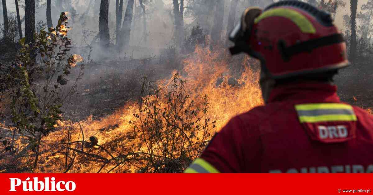 Incêndios: Vinte concelhos de Faro, Castelo Branco, Guarda, Viseu e Bragança em risco máximo - PÚBLICO
