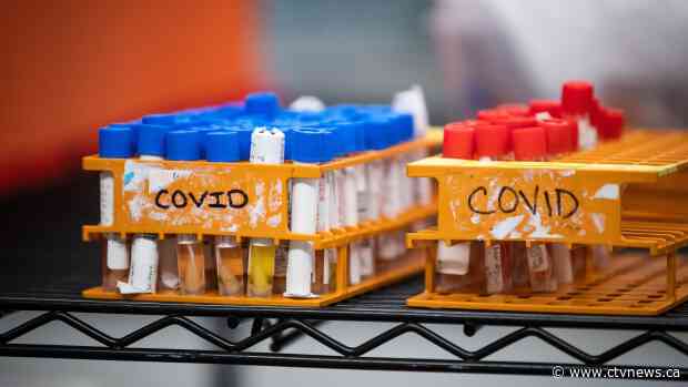 Genetic detectives begin work to trace spread of COVID-19 in Canada
