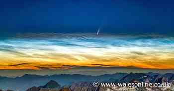 How to see Comet Neowise tonight