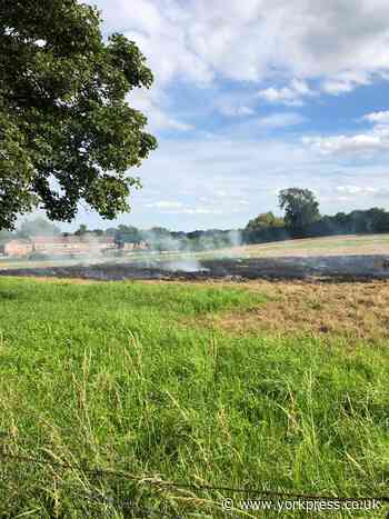 Crews put out grass fire in Acomb area