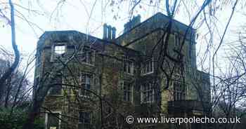 Eerie footage inside sprawling mansion being reclaimed by nature
