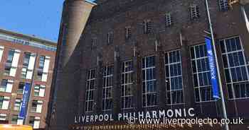 Flying ant scenes 'like horror film' as swarms plague Merseyside