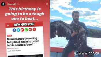 'The most American thing ever': Video of Calgary man rescuing baby bald eagle from lake goes viral