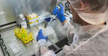 New coronavirus-related death recorded at Bristol hospital