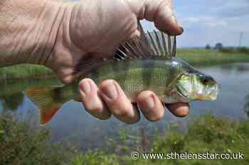 Newton-le-Willows Anglers Association match results - St Helens Star