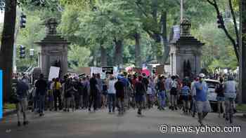 Couple who threatened Black Lives Matter protesters with guns once destroyed children's beehives