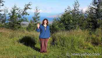 ‘Disheveled’ campsite spurs search for missing California woman in national forest
