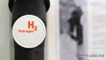 EU hydrogen strategy: Bloc charts path towards 100% renewable hydrogen