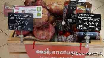 Asti, iniziata la collaborazione con i presidi Slow Food nel negozio Naturasì - ATNews
