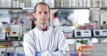 300 to be given coronavirus test vaccine, says UK lead professor - Bristol Live