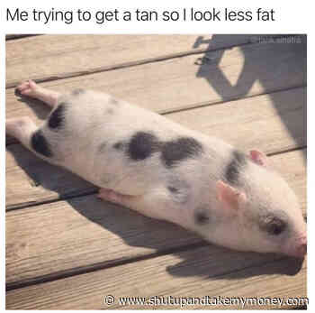 Me Trying To Get A Tan So I Look Less Fat – Meme