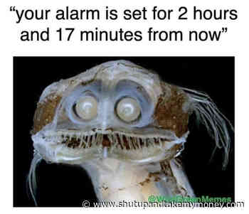 Your Alarm Is Set For 2 Hours And 17 Minutes From Now – Meme