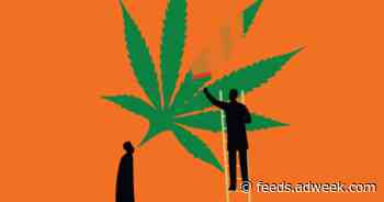 What Cannabis Brands Can Do to Navigate Trump’s Social Media Executive Order