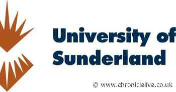 Lecturer, internships and admin staff: Jobs available at Sunderland University