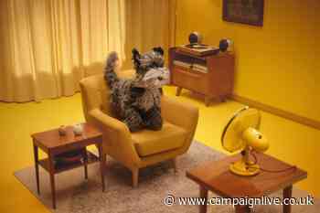 AA parodies 'blown-away guy' to mark return of road trips