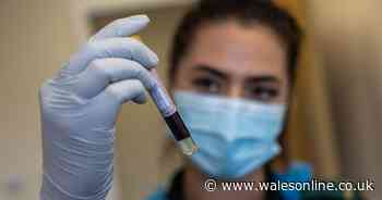 No new coronavirus deaths reported in Wales for the third day this week - Wales Online