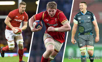 Wales & Regions | Davies offering innovation in his coaching career - Welsh Rugby Union