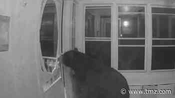 Black Bear Breaks Into Canadian Home Looking for Pizza